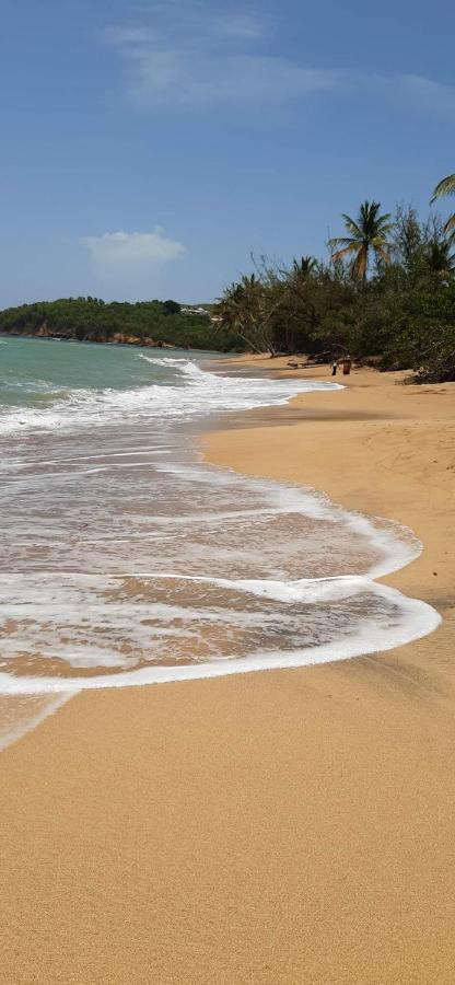 Studio Des Flots - Tartane Martinique ลา ทรินิเต ภายนอก รูปภาพ