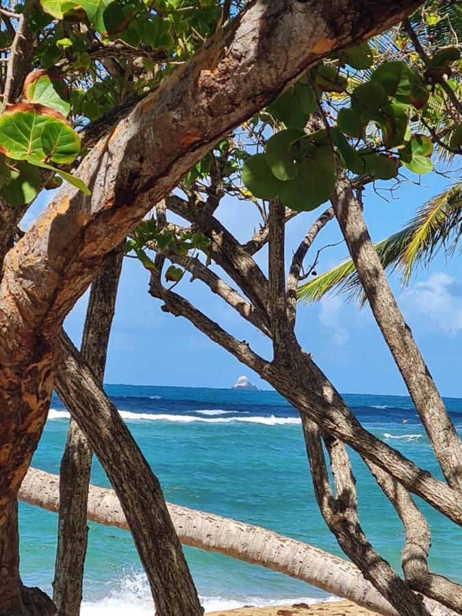 Studio Des Flots - Tartane Martinique ลา ทรินิเต ภายนอก รูปภาพ