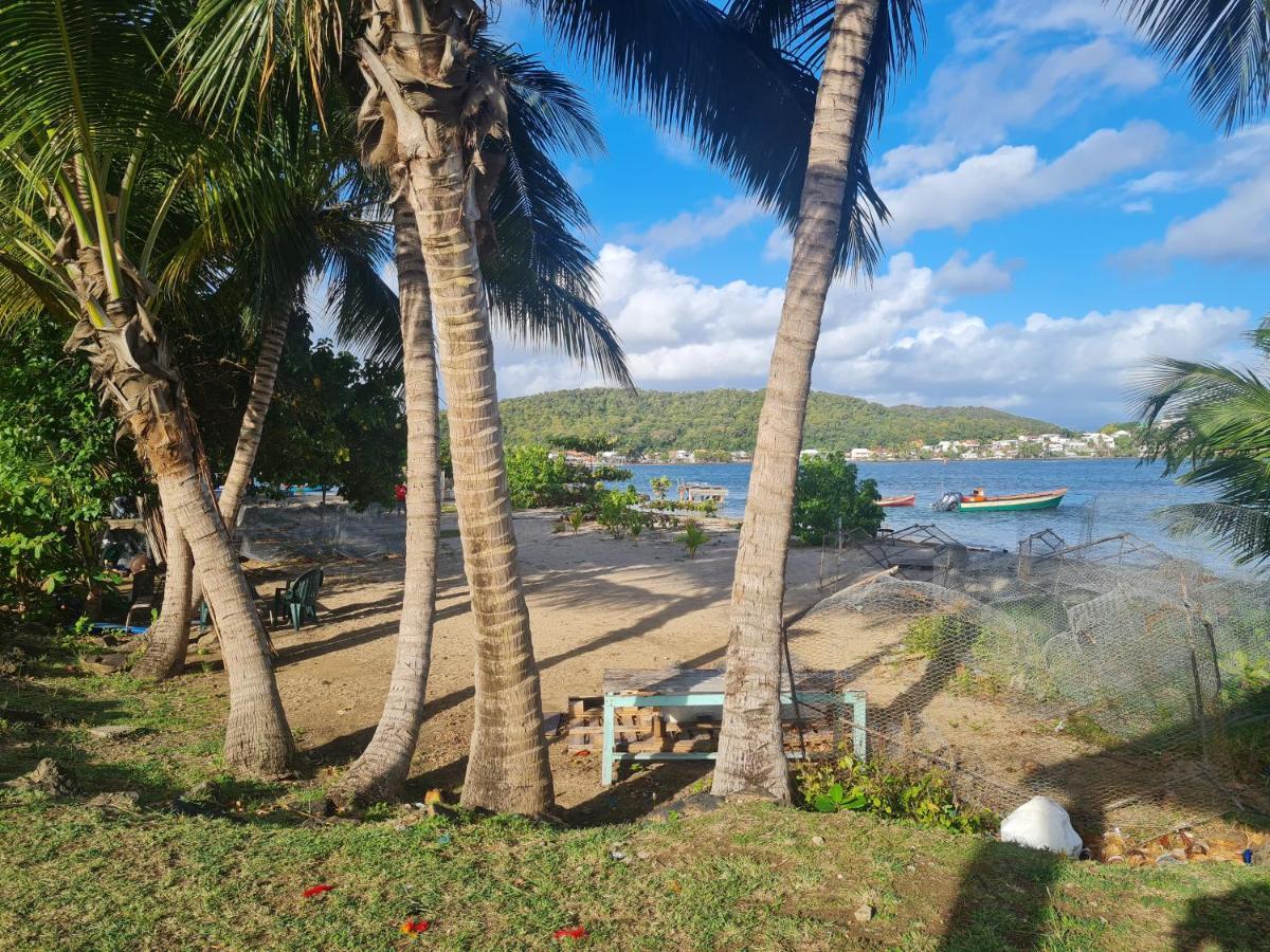 Studio Des Flots - Tartane Martinique ลา ทรินิเต ภายนอก รูปภาพ